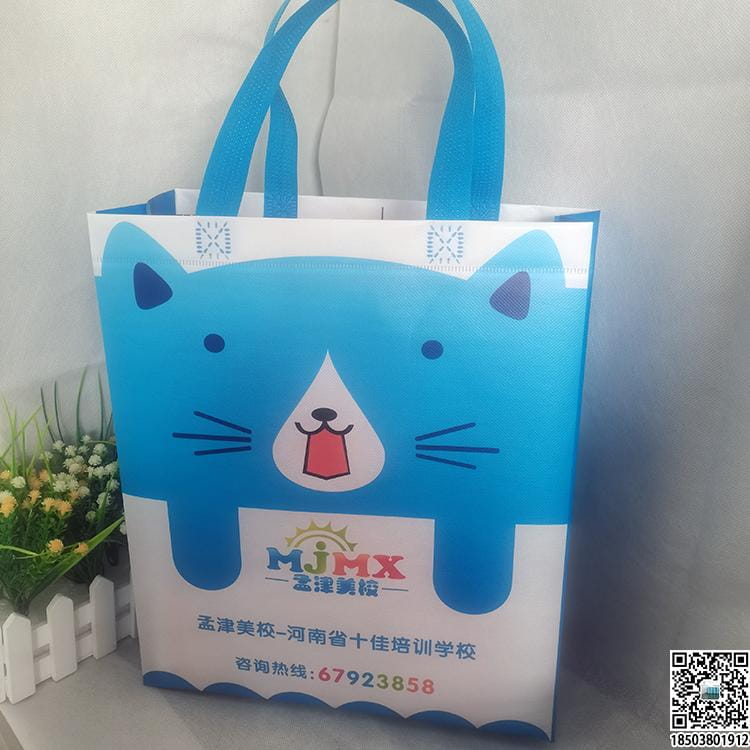 教育培訓班無紡布袋 學校輔導機構無紡布手提袋廣告袋宣傳袋  第7張