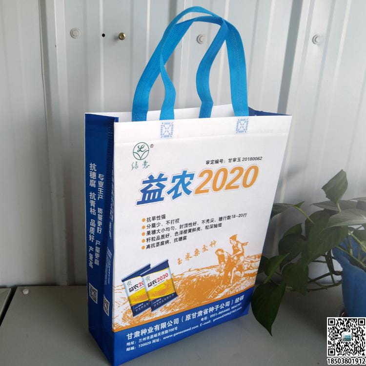 教育培訓班無紡布袋 學校輔導機構無紡布手提袋廣告袋宣傳袋  第20張