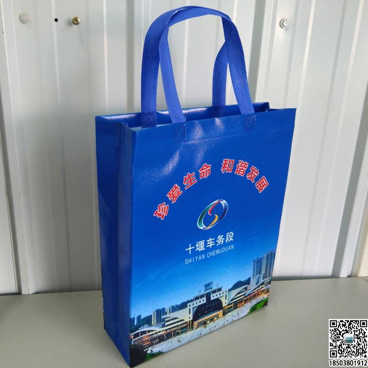 教育培訓班無紡布袋 學校輔導機構無紡布手提袋廣告袋宣傳袋  第28張