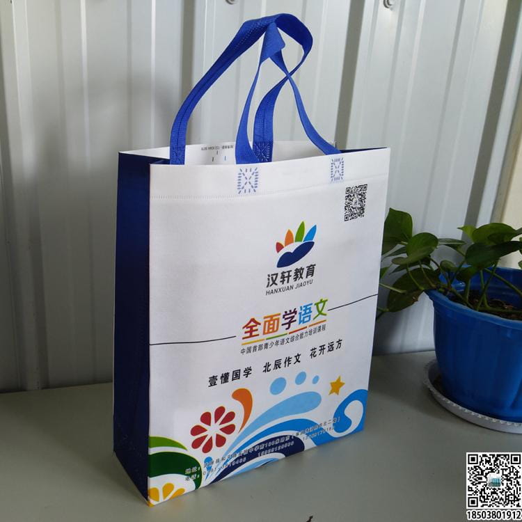 教育培訓班無紡布袋 學校輔導機構無紡布手提袋廣告袋宣傳袋  第39張