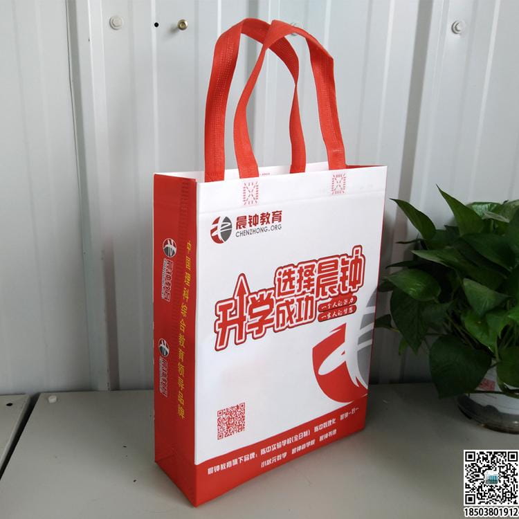 教育培訓班無紡布袋 學校輔導機構無紡布手提袋廣告袋宣傳袋  第37張