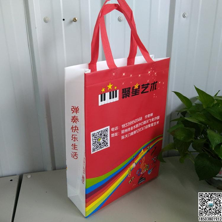 教育培訓班無紡布袋 學校輔導機構無紡布手提袋廣告袋宣傳袋  第44張