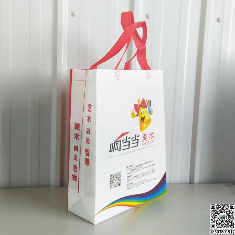 教育培訓班無紡布袋 學校輔導機構無紡布手提袋廣告袋宣傳袋  第51張