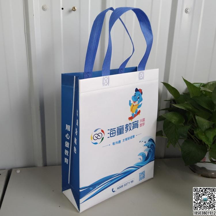 教育培訓班無紡布袋 學校輔導機構無紡布手提袋廣告袋宣傳袋  第60張