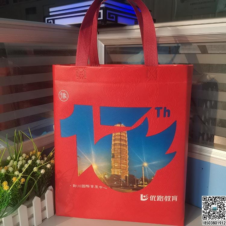 教育培訓班無紡布袋 學校輔導機構無紡布手提袋廣告袋宣傳袋  第68張