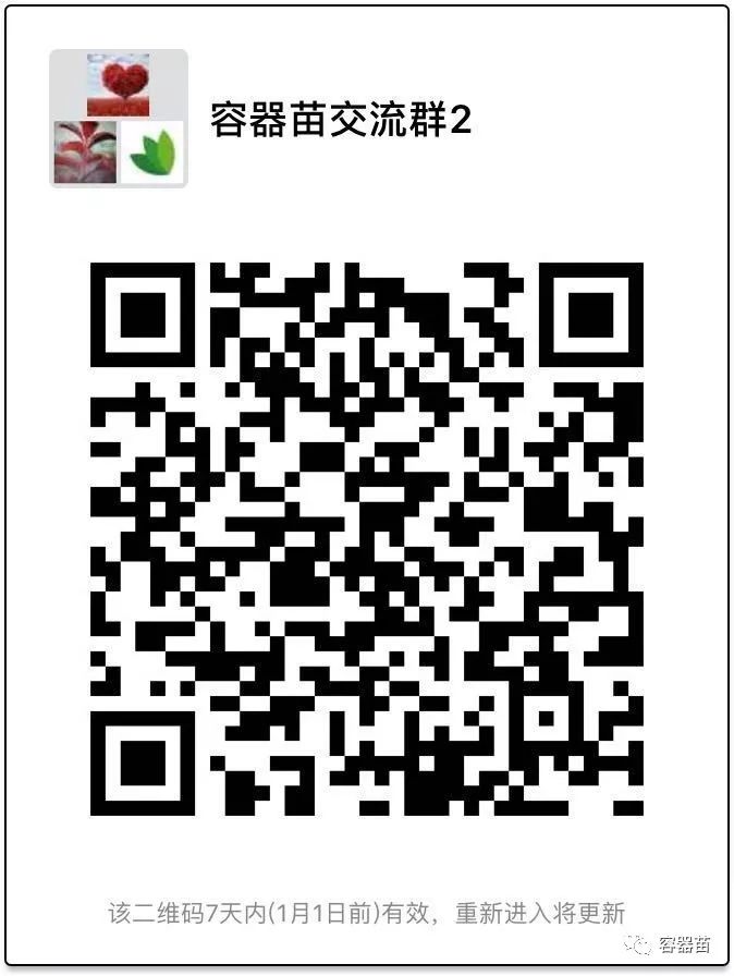 無(wú)紡布袋在容器育苗中如此流行,但絕非完美! 第5張 無(wú)紡布袋在容器育苗中如此流行,但絕非完美! 第5張