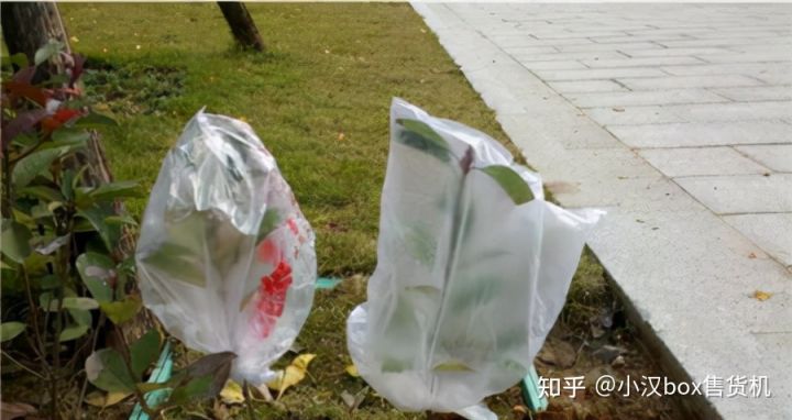 原來塑料袋還能這么用?19個實用妙招「精選」 第4張 原來塑料袋還能這么用?19個實用妙招「精選」 第4張