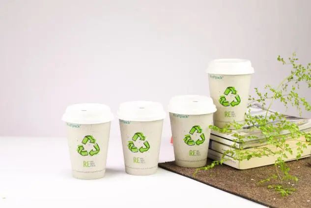 【7月PACKCON紙制品包裝】限塑令升級!“以紙代塑”或?qū)⒊砂b界新風(fēng)尚 第19張 【7月PACKCON紙制品包裝】限塑令升級!“以紙代塑”或?qū)⒊砂b界新風(fēng)尚 第19張