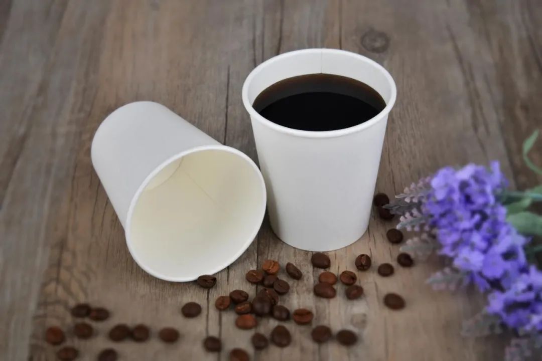 【7月PACKCON紙制品包裝】限塑令升級!“以紙代塑”或?qū)⒊砂b界新風(fēng)尚 第39張 【7月PACKCON紙制品包裝】限塑令升級!“以紙代塑”或?qū)⒊砂b界新風(fēng)尚 第39張