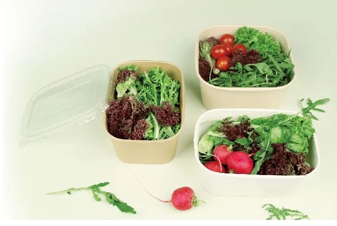 【7月PACKCON紙制品包裝】限塑令升級!“以紙代塑”或?qū)⒊砂b界新風(fēng)尚 第48張 【7月PACKCON紙制品包裝】限塑令升級!“以紙代塑”或?qū)⒊砂b界新風(fēng)尚 第48張