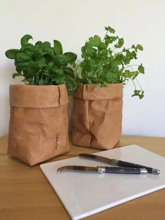 牛皮紙袋這么一套,綠蘿都變洋氣了 第9張 牛皮紙袋這么一套,綠蘿都變洋氣了 第9張