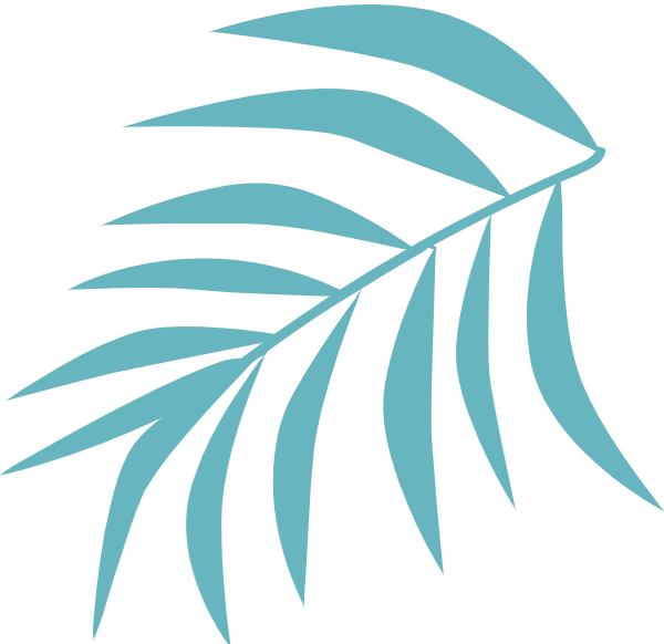 【環保科普】紙袋真的比塑料袋環保?答案出乎意料 第2張 【環保科普】紙袋真的比塑料袋環保?答案出乎意料 第2張