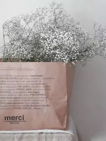 牛皮紙袋這么一套,綠蘿都變洋氣了 第8張 牛皮紙袋這么一套,綠蘿都變洋氣了 第8張