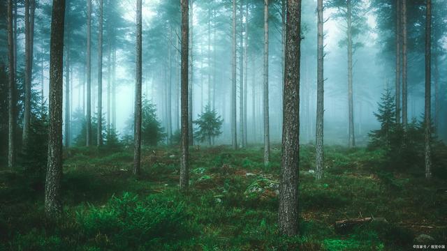 牛皮紙袋為企業和社會帶來的巨大好處 第3張 牛皮紙袋為企業和社會帶來的巨大好處 第3張