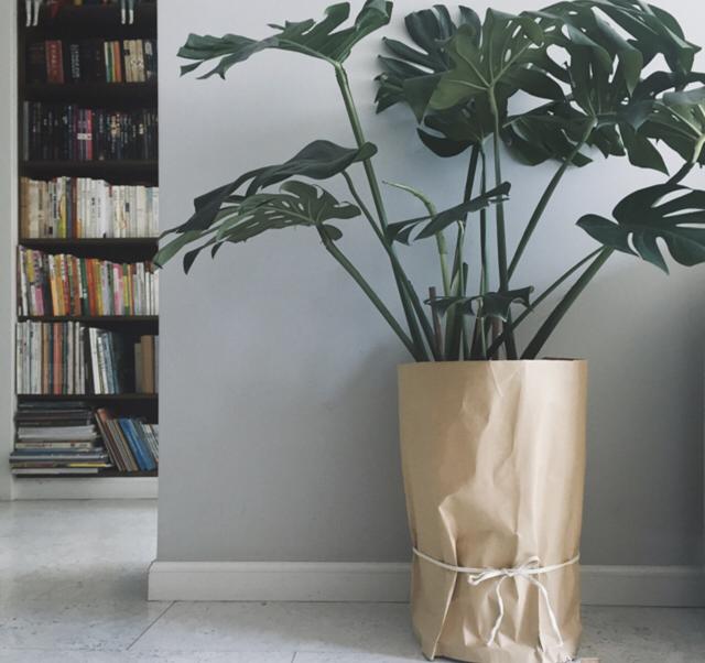 不得不說,用牛皮紙袋收納真的太可了! 第11張 不得不說,用牛皮紙袋收納真的太可了! 第11張