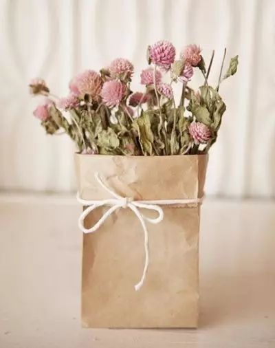 牛皮紙袋這么一套,綠蘿都變洋氣了 第7張 牛皮紙袋這么一套,綠蘿都變洋氣了 第7張