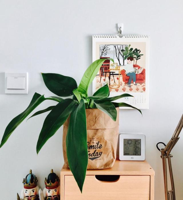 不得不說,用牛皮紙袋收納真的太可了! 第12張 不得不說,用牛皮紙袋收納真的太可了! 第12張