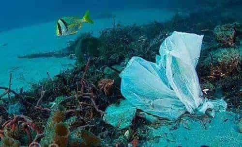 環保科普 | 為什么要禁塑、限塑？ 第3張